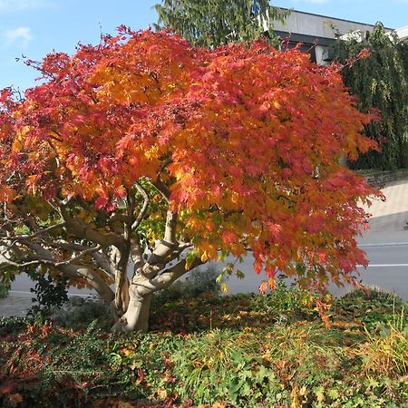 Haus St.Michael Hotel Dozwil Bagian luar foto