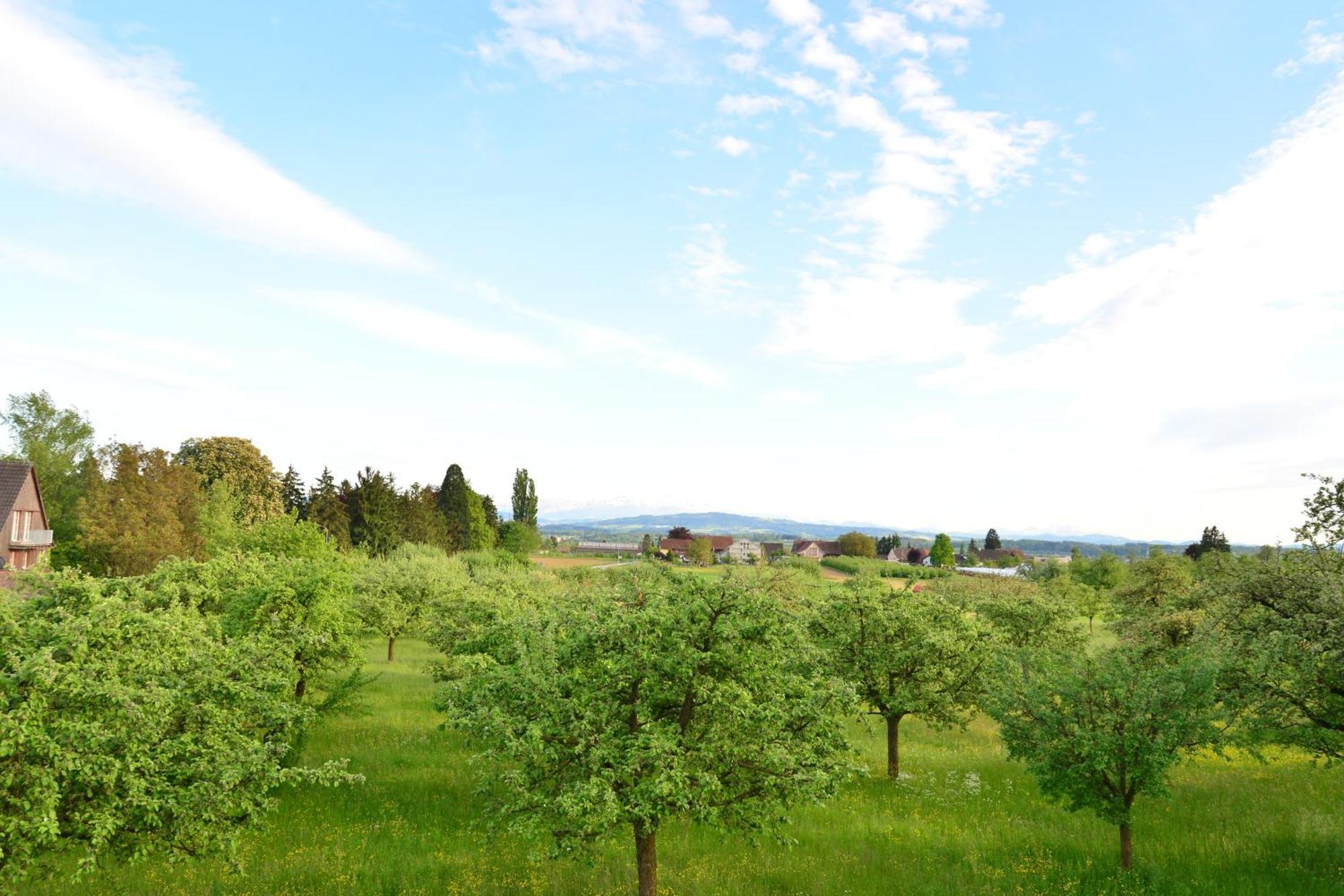 Haus St.Michael Hotel Dozwil Bagian luar foto