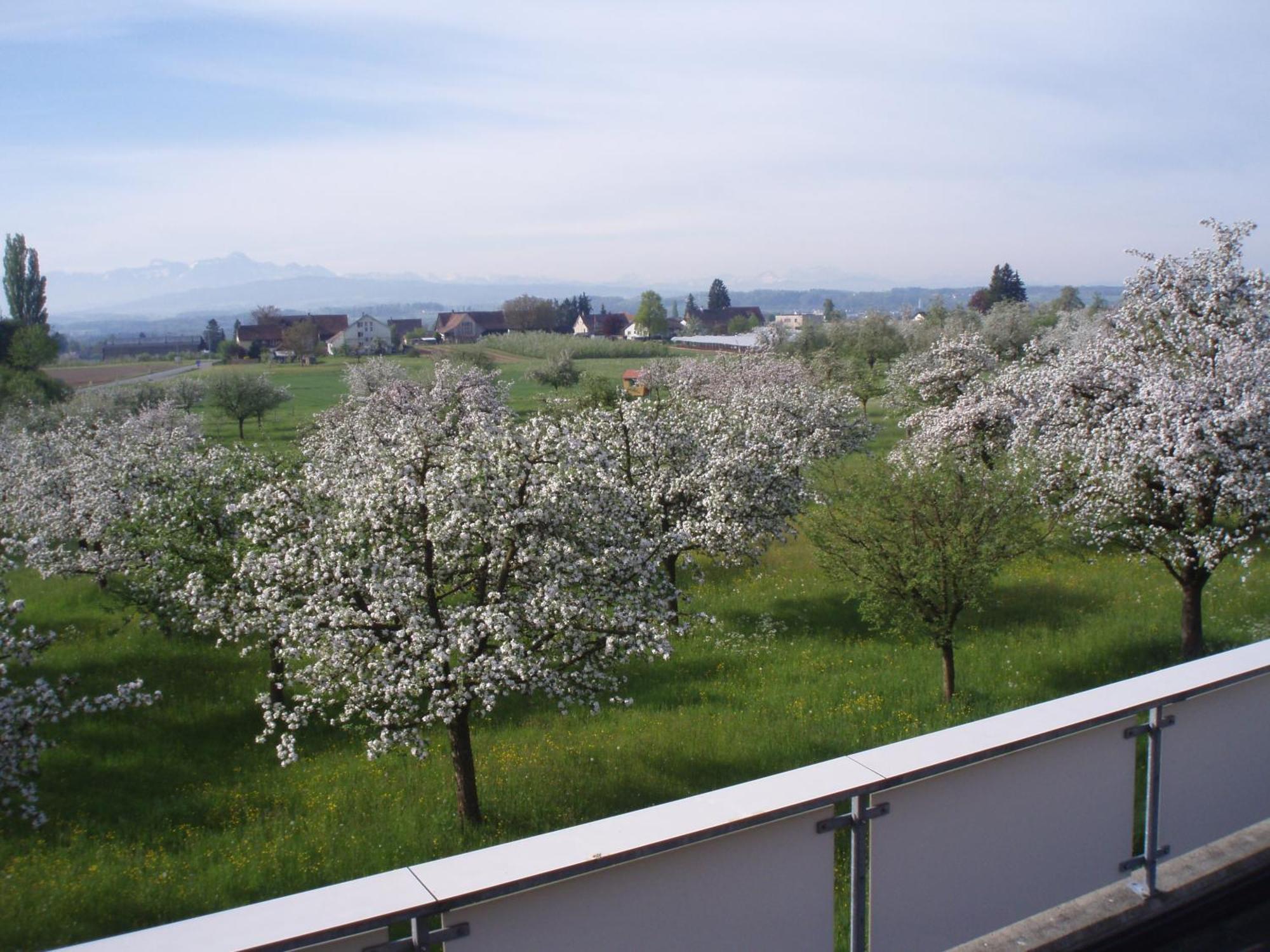 Haus St.Michael Hotel Dozwil Bagian luar foto